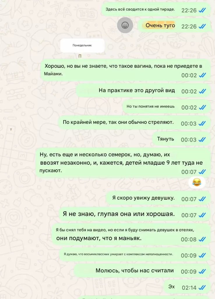 Screenshot chat WhatsApp con la Dea Suprema (sequenza 1b)